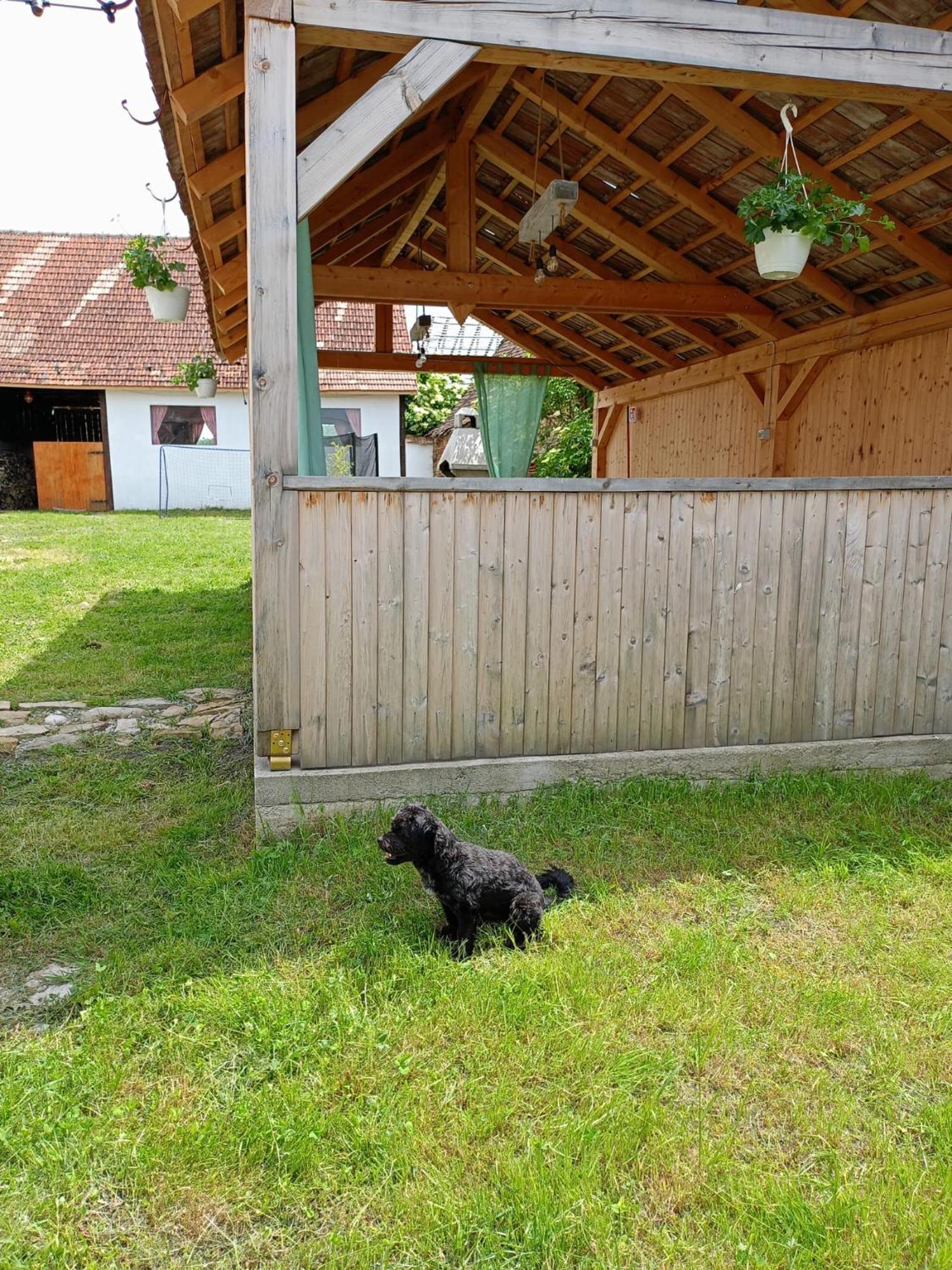 Chalet Giuel Barcut Buitenkant foto